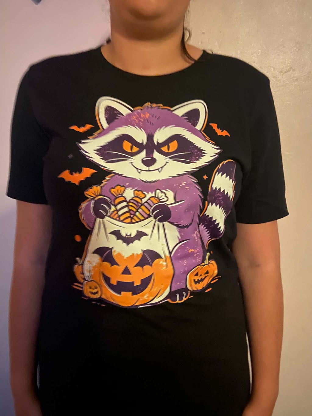 Trick or Treat Raccoon – Halloween Candy Thief T-Shirt (Unisex)