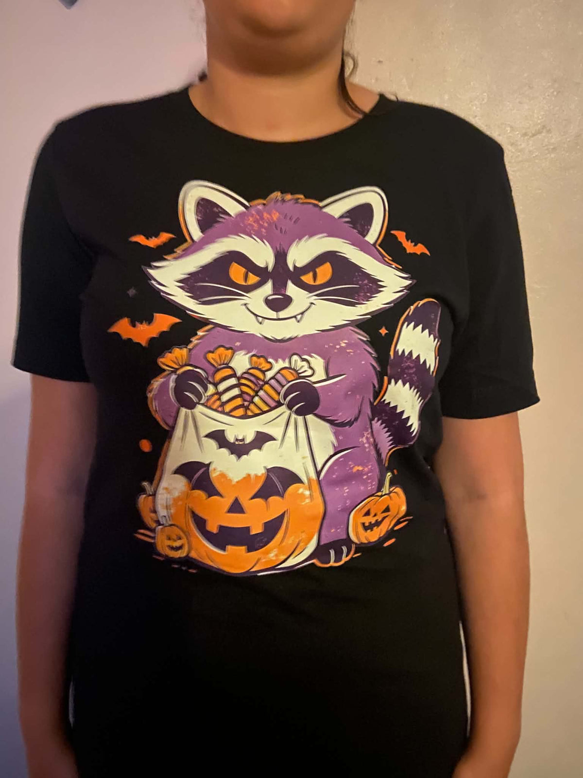 Trick or Treat Raccoon – Halloween Candy Thief T-Shirt (Unisex)